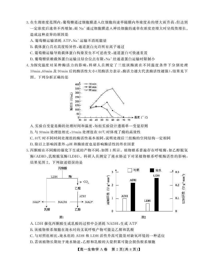 安徽省江淮协作区2024-2025学年高一下学期期末考试生物（A）试卷第2页