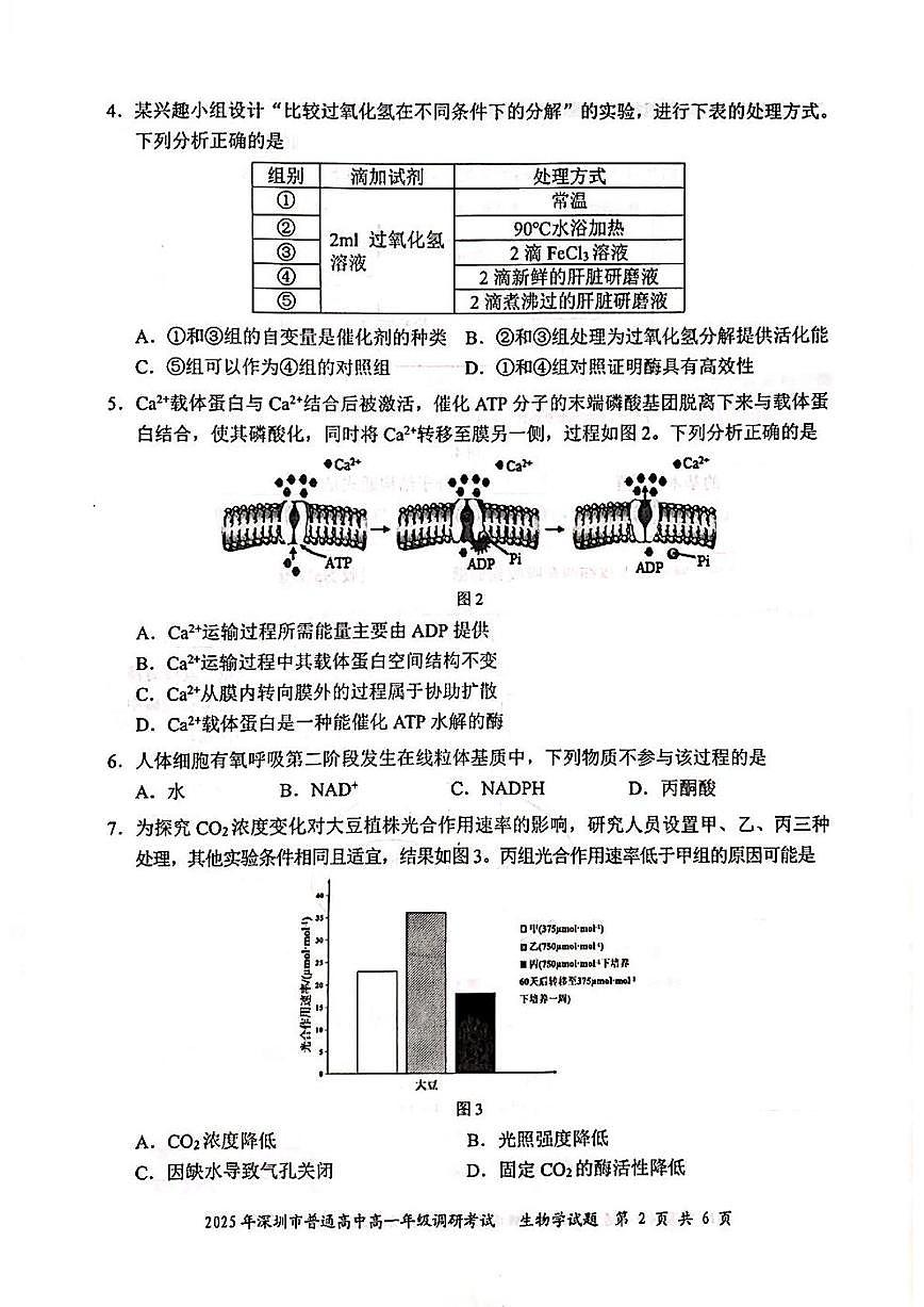 2025年深圳市普通高中高一年级调研考试 生物.pdf第2页