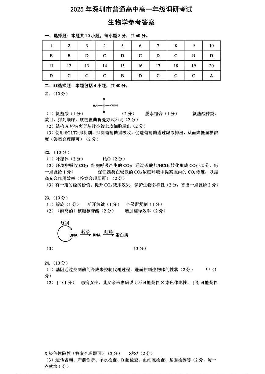 2025年深圳市普通高中高一年级调研考试 生物答案.pdf第1页