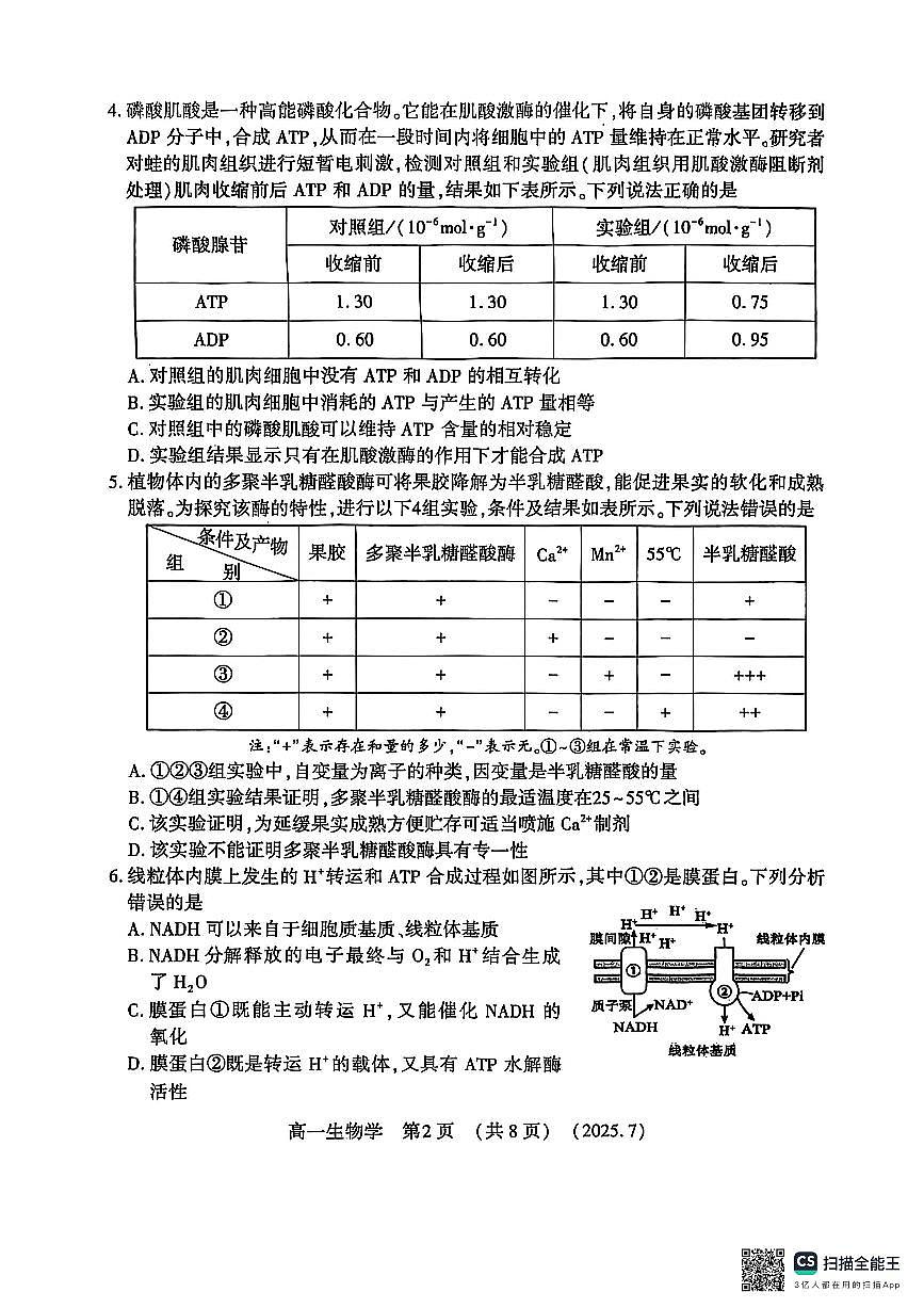 生物试卷-洛阳市2024-2025高一下期末第2页
