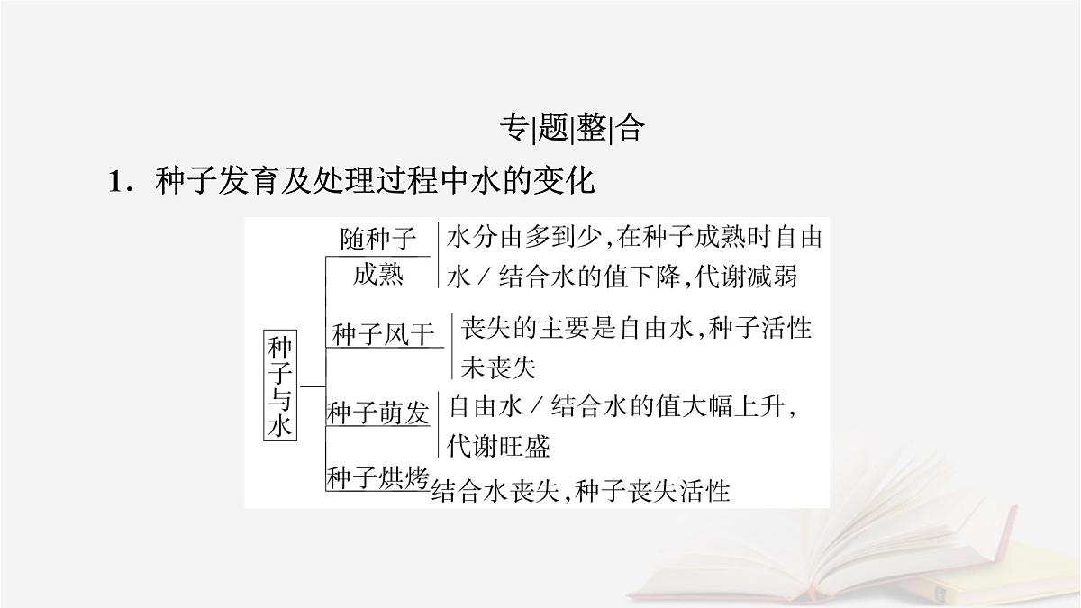 2026届高考生物一轮总复习必修1微专题1探究“种子形成与萌发”过程中相关的变化课件第2页