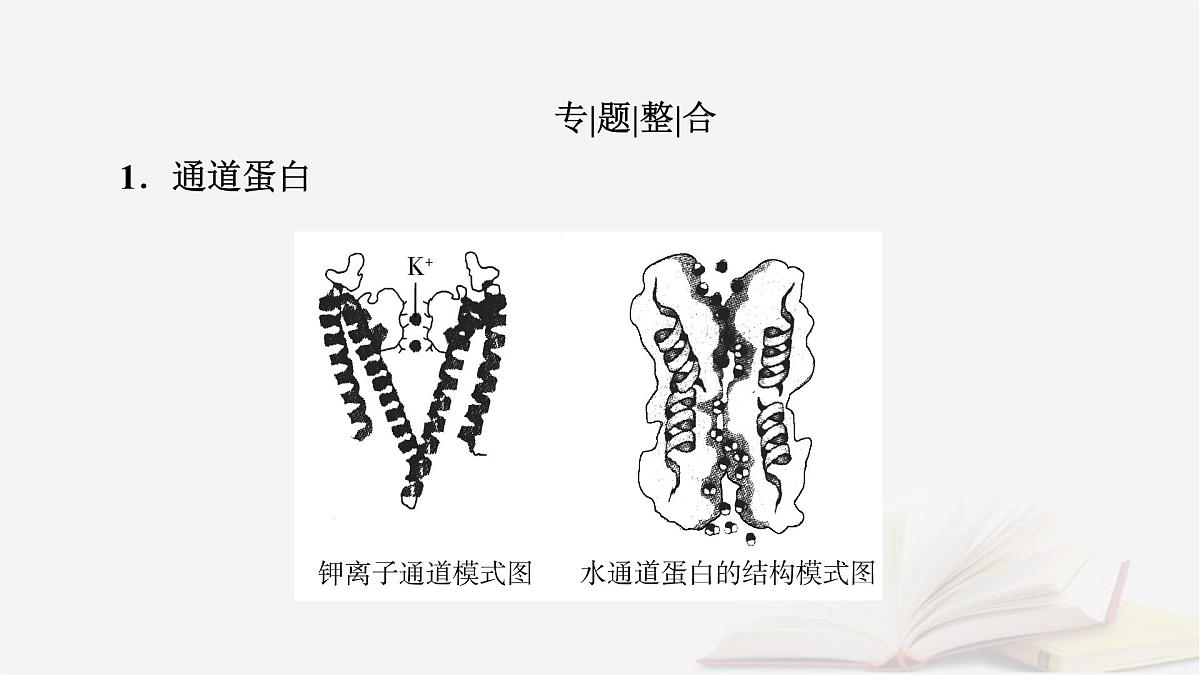 2026届高考生物一轮总复习必修1微专题2与物质出入细胞方式有关的热考题型课件第2页