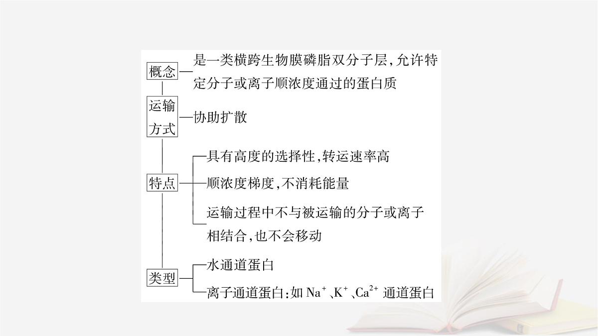 2026届高考生物一轮总复习必修1微专题2与物质出入细胞方式有关的热考题型课件第3页