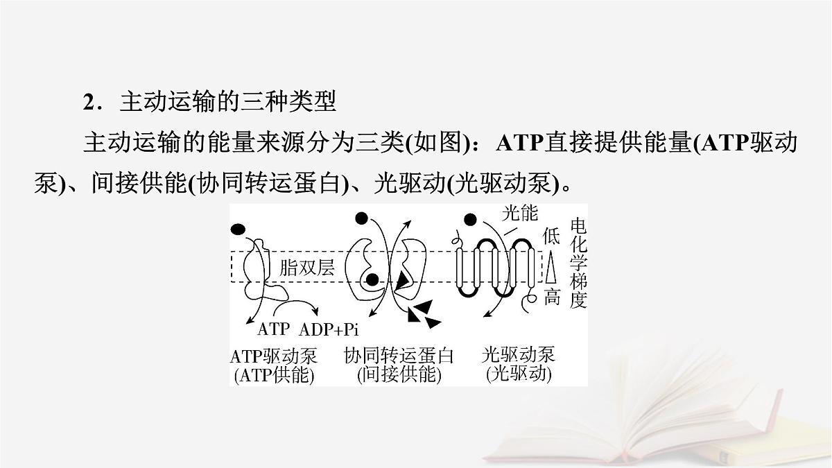 2026届高考生物一轮总复习必修1微专题2与物质出入细胞方式有关的热考题型课件第5页