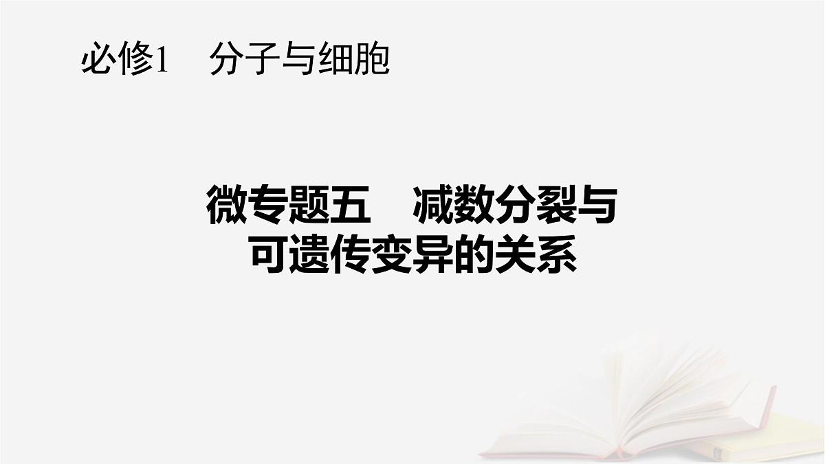 2026届高考生物一轮总复习必修1微专题5减数分裂与可遗传变异的关系课件第1页