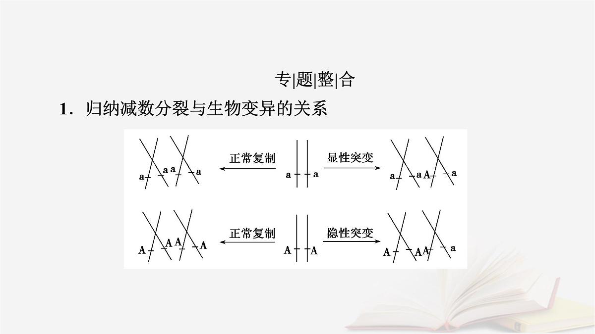 2026届高考生物一轮总复习必修1微专题5减数分裂与可遗传变异的关系课件第2页