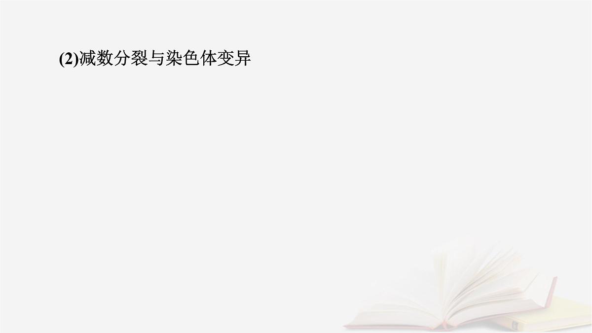 2026届高考生物一轮总复习必修1微专题5减数分裂与可遗传变异的关系课件第5页