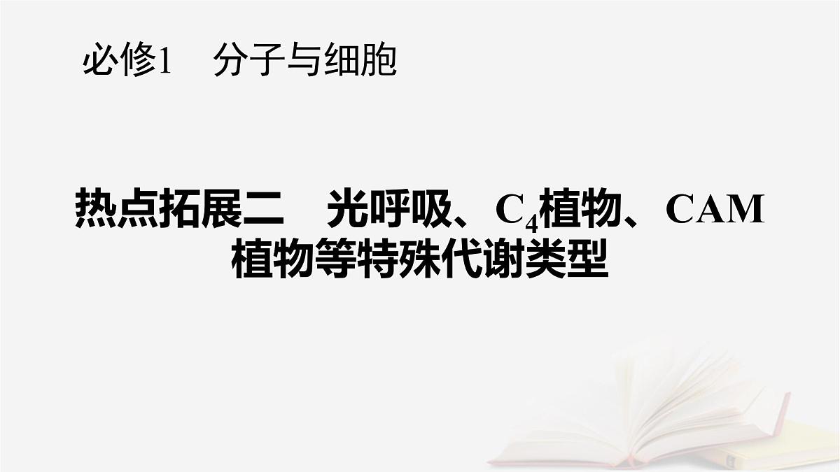 2026届高考生物一轮总复习必修1热点拓展2光呼吸C4植物CAM植物等特殊代谢类型课件第1页