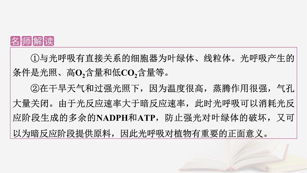 2026届高考生物一轮总复习必修1热点拓展2光呼吸C4植物CAM植物等特殊代谢类型课件第3页