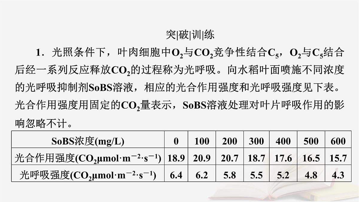 2026届高考生物一轮总复习必修1热点拓展2光呼吸C4植物CAM植物等特殊代谢类型课件第4页
