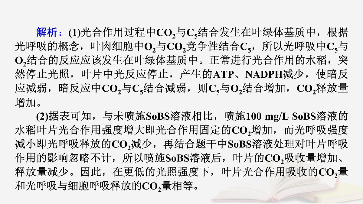 2026届高考生物一轮总复习必修1热点拓展2光呼吸C4植物CAM植物等特殊代谢类型课件第7页