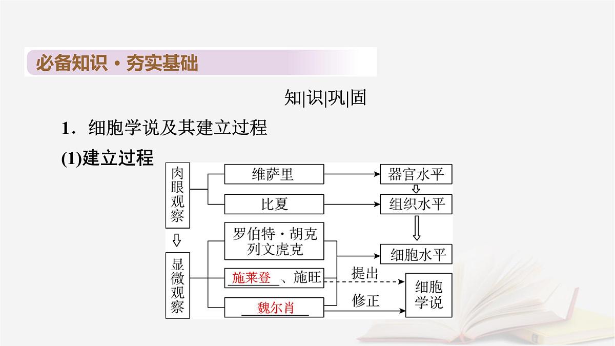 2026届高考生物一轮总复习必修1第1单元走近细胞和组成细胞的分子第1讲走近细胞课件第6页