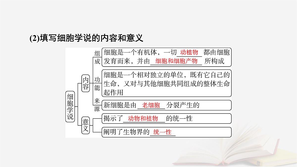 2026届高考生物一轮总复习必修1第1单元走近细胞和组成细胞的分子第1讲走近细胞课件第7页
