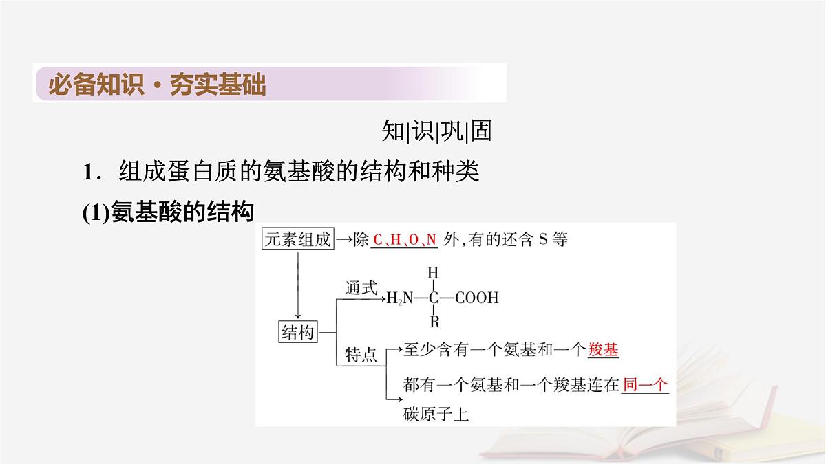 2026届高考生物一轮总复习必修1第1单元走近细胞和组成细胞的分子第3讲蛋白质是生命活动的主要承担者课件第6页