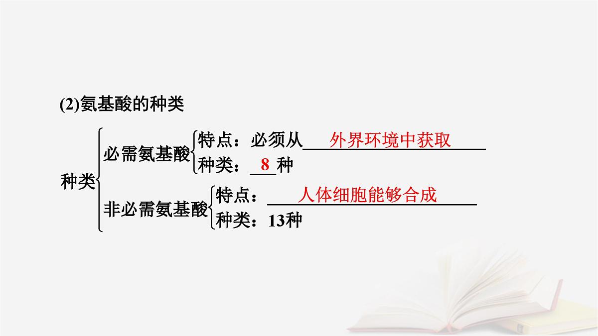 2026届高考生物一轮总复习必修1第1单元走近细胞和组成细胞的分子第3讲蛋白质是生命活动的主要承担者课件第7页