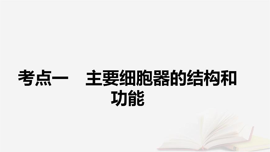 2026届高考生物一轮总复习必修1第2单元细胞的基本结构与物质输入和输出第2讲细胞器和生物膜系统课件第5页