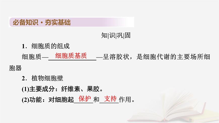 2026届高考生物一轮总复习必修1第2单元细胞的基本结构与物质输入和输出第2讲细胞器和生物膜系统课件第6页