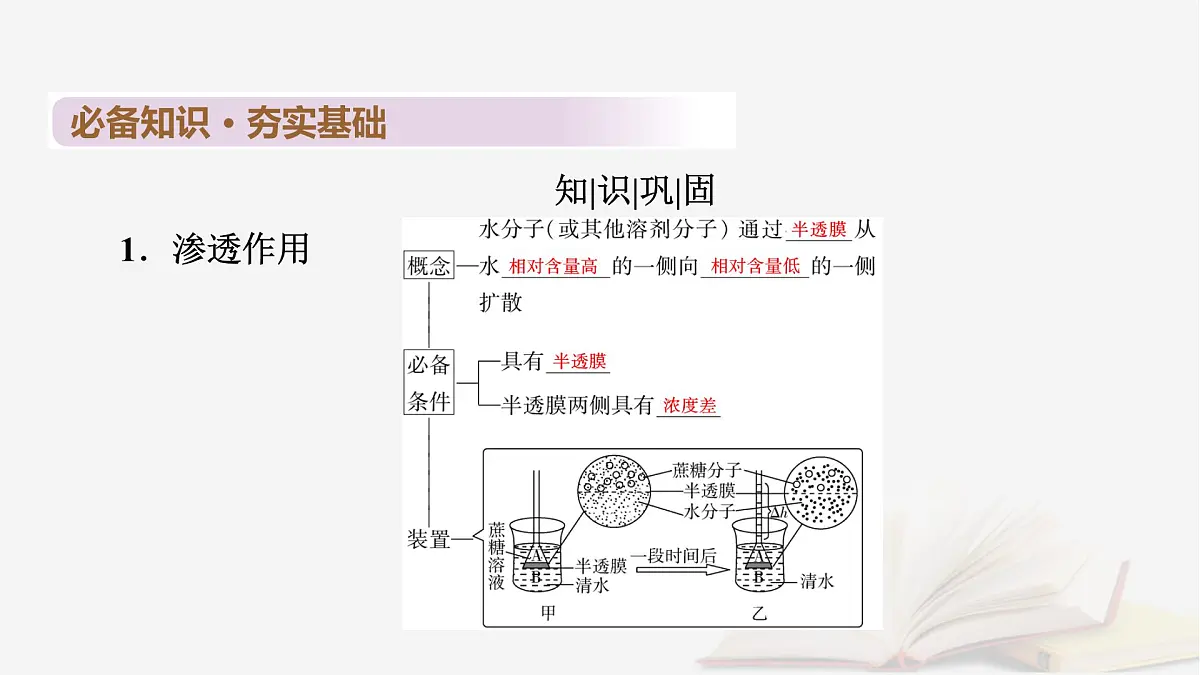2026届高考生物一轮总复习必修1第2单元细胞的基本结构与物质输入和输出第3讲水进出细胞的原理课件第6页