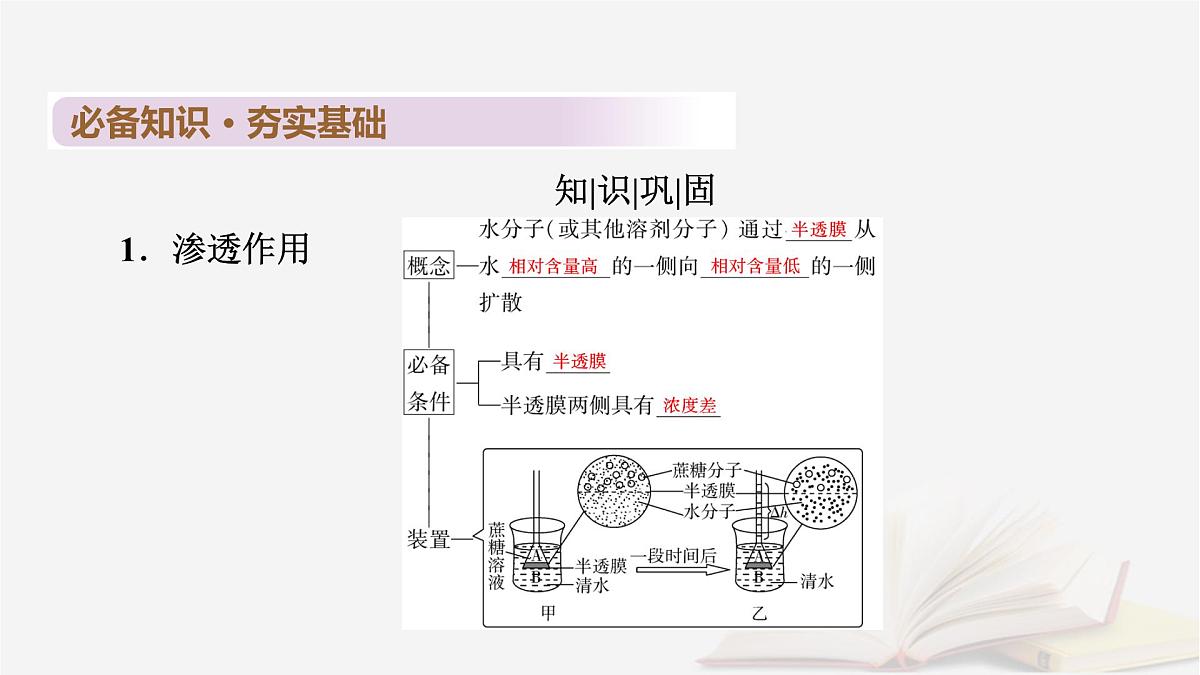 2026届高考生物一轮总复习必修1第2单元细胞的基本结构与物质输入和输出第3讲水进出细胞的原理课件第6页