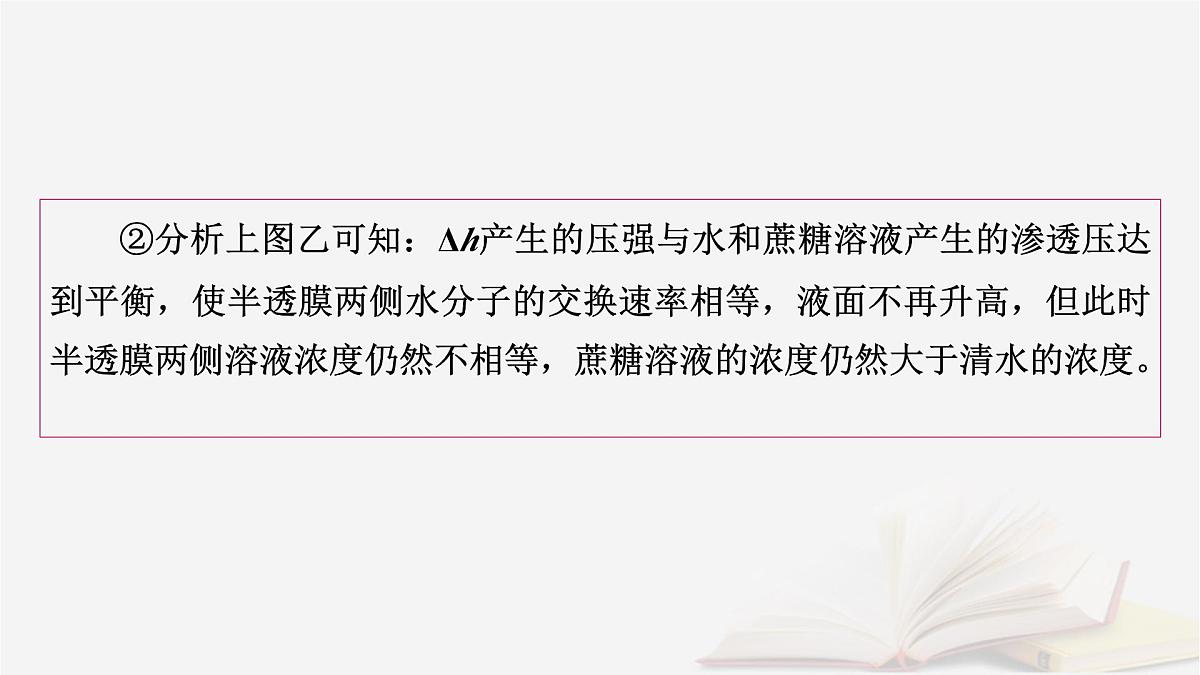 2026届高考生物一轮总复习必修1第2单元细胞的基本结构与物质输入和输出第3讲水进出细胞的原理课件第8页