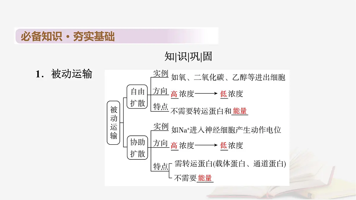 2026届高考生物一轮总复习必修1第2单元细胞的基本结构与物质输入和输出第4讲物质跨膜运输的方式课件第6页