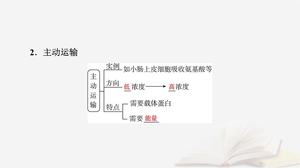 2026届高考生物一轮总复习必修1第2单元细胞的基本结构与物质输入和输出第4讲物质跨膜运输的方式课件第7页