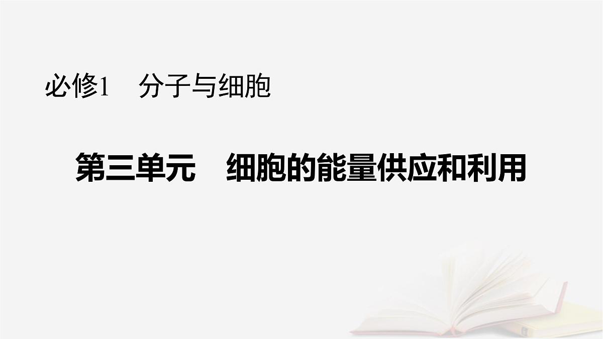 2026届高考生物一轮总复习必修1第3单元细胞的能量供应和利用第2讲ATP和细胞呼吸课件第1页