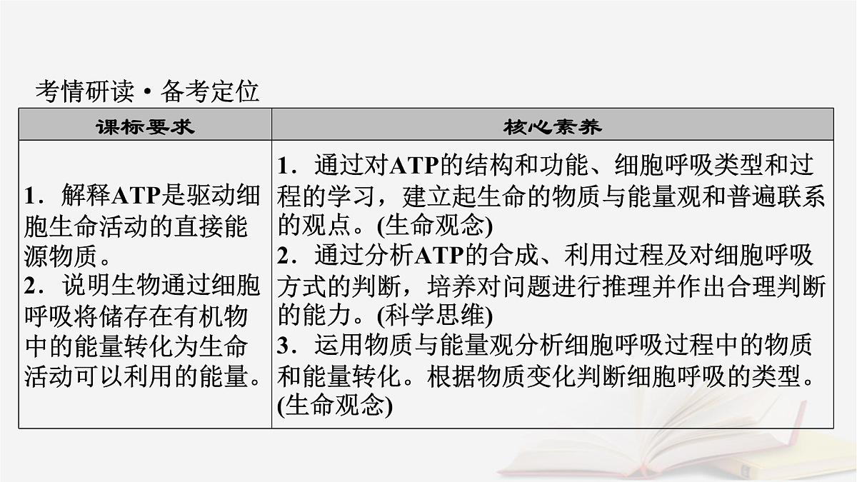 2026届高考生物一轮总复习必修1第3单元细胞的能量供应和利用第2讲ATP和细胞呼吸课件第3页