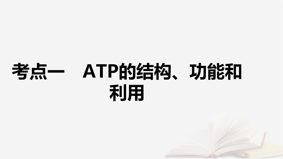 2026届高考生物一轮总复习必修1第3单元细胞的能量供应和利用第2讲ATP和细胞呼吸课件第5页