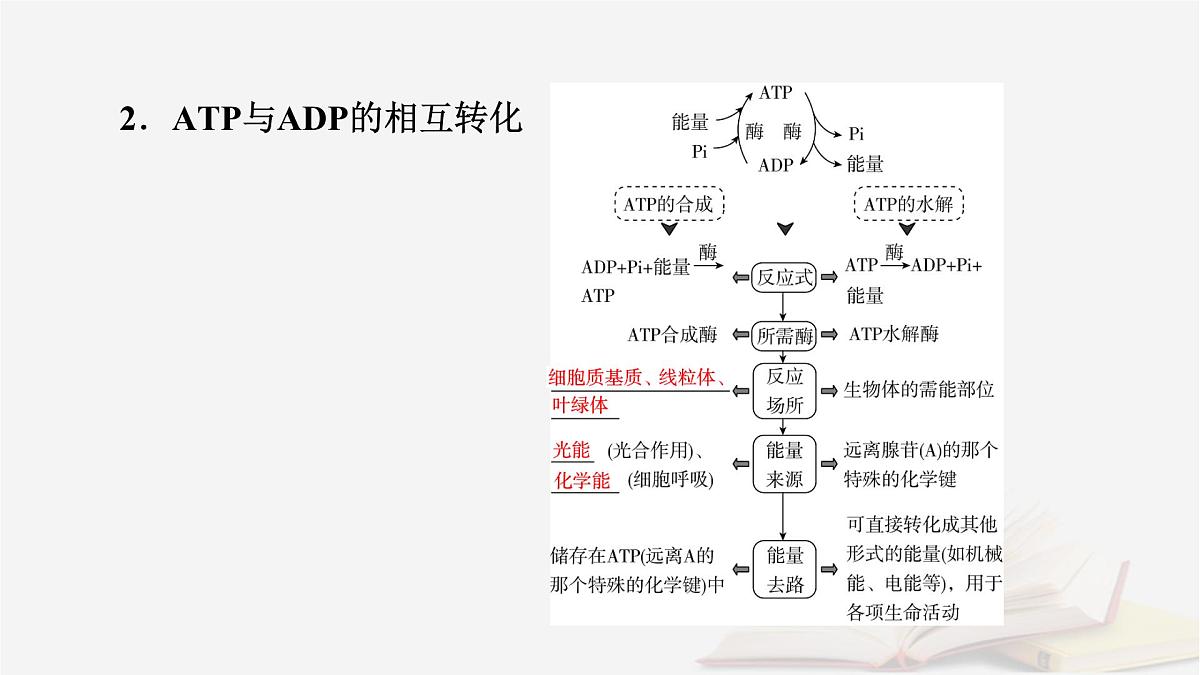 2026届高考生物一轮总复习必修1第3单元细胞的能量供应和利用第2讲ATP和细胞呼吸课件第8页