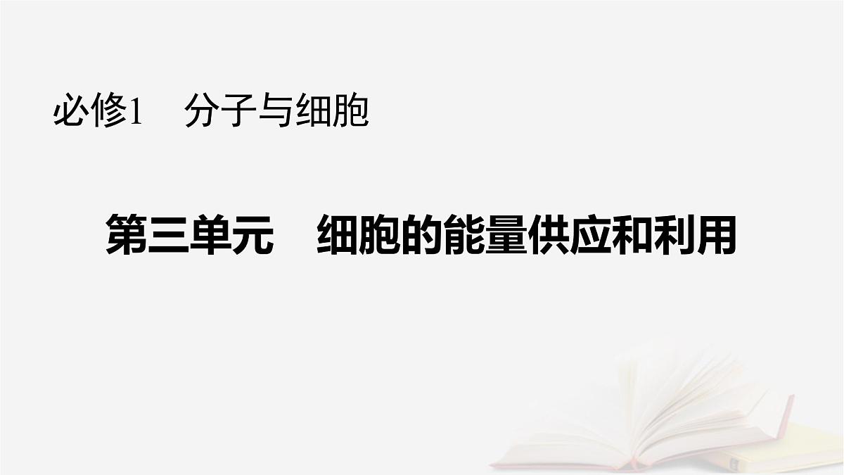 2026届高考生物一轮总复习必修1第3单元细胞的能量供应和利用第3讲细胞呼吸的影响因素探究酵母菌细胞呼吸的方式课件第1页