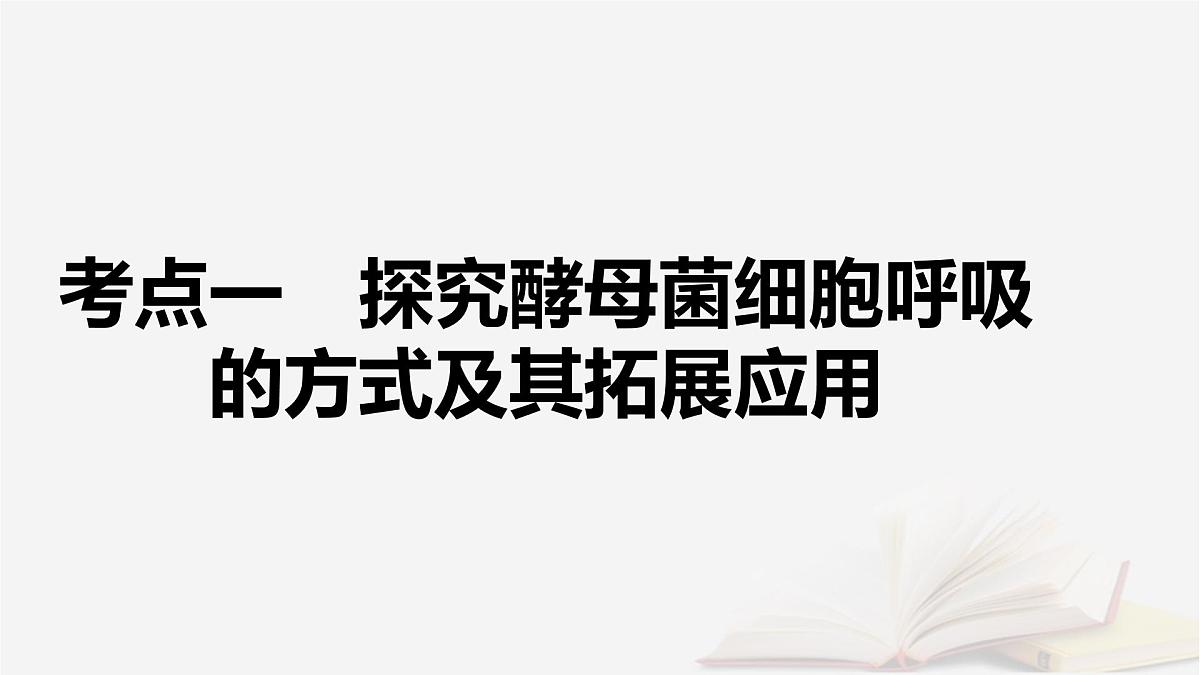 2026届高考生物一轮总复习必修1第3单元细胞的能量供应和利用第3讲细胞呼吸的影响因素探究酵母菌细胞呼吸的方式课件第5页