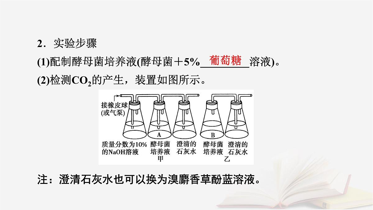 2026届高考生物一轮总复习必修1第3单元细胞的能量供应和利用第3讲细胞呼吸的影响因素探究酵母菌细胞呼吸的方式课件第7页