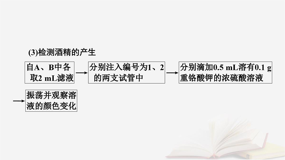 2026届高考生物一轮总复习必修1第3单元细胞的能量供应和利用第3讲细胞呼吸的影响因素探究酵母菌细胞呼吸的方式课件第8页