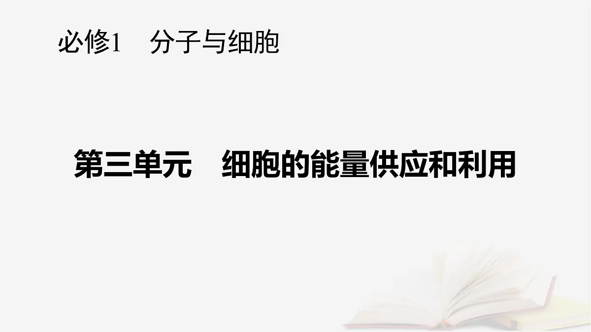 2026届高考生物一轮总复习必修1第3单元细胞的能量供应和利用第4讲捕获光能的色素和结构光合作用的原理课件第1页