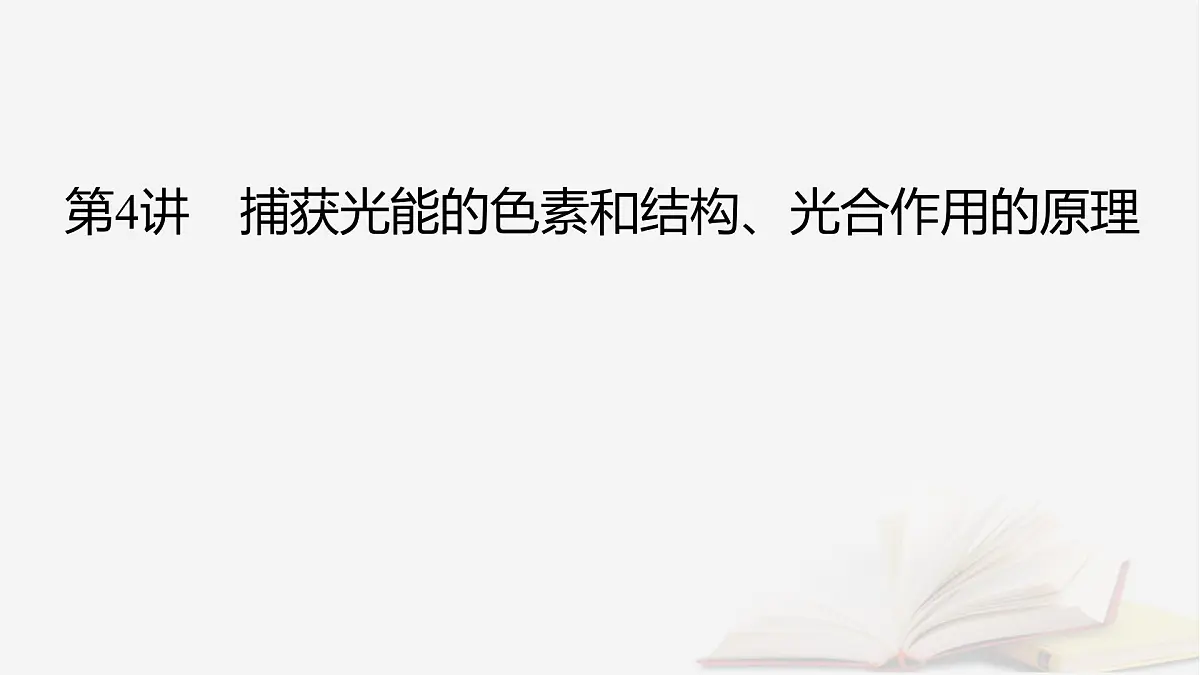 2026届高考生物一轮总复习必修1第3单元细胞的能量供应和利用第4讲捕获光能的色素和结构光合作用的原理课件第2页