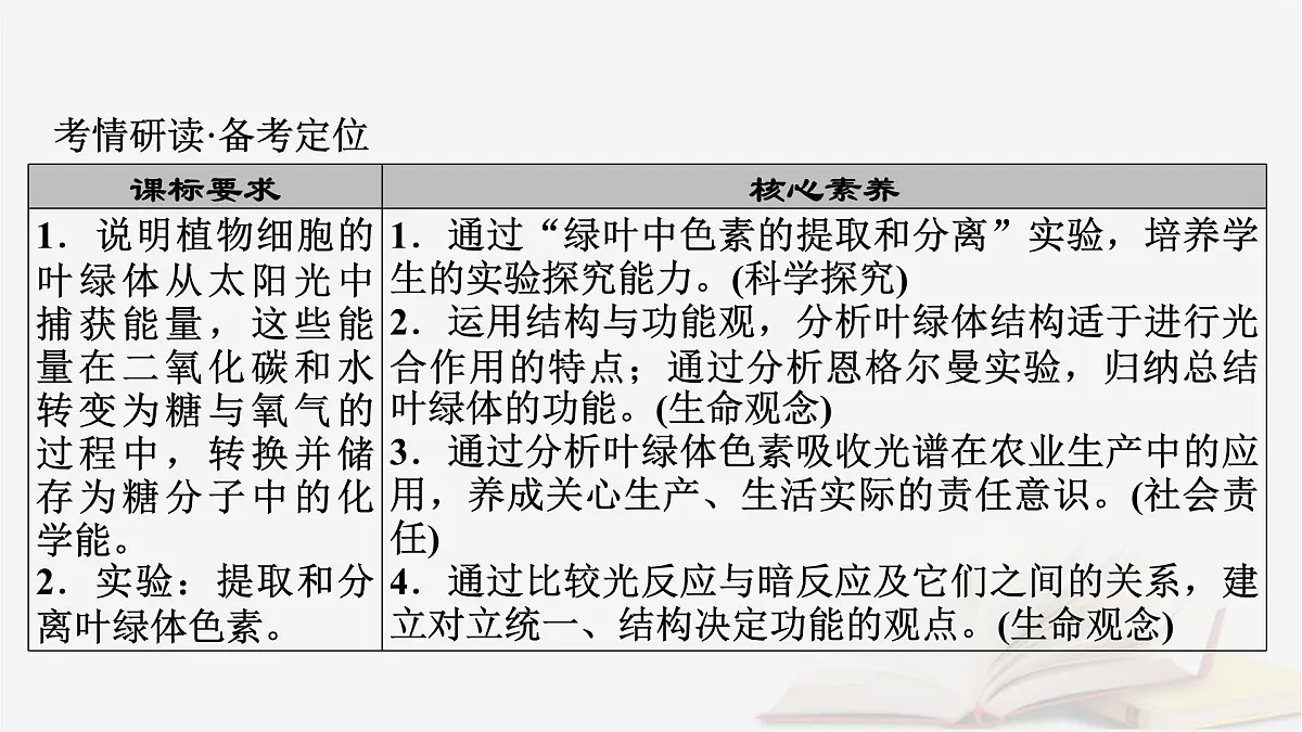 2026届高考生物一轮总复习必修1第3单元细胞的能量供应和利用第4讲捕获光能的色素和结构光合作用的原理课件第3页