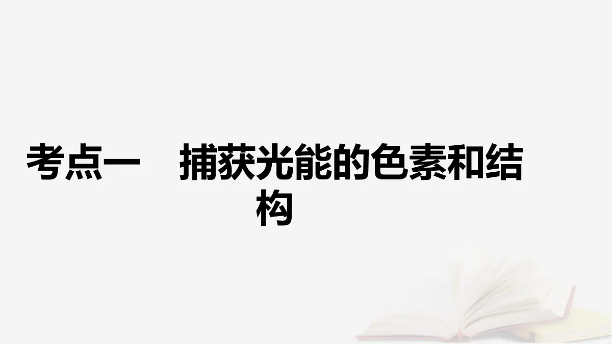 2026届高考生物一轮总复习必修1第3单元细胞的能量供应和利用第4讲捕获光能的色素和结构光合作用的原理课件第5页