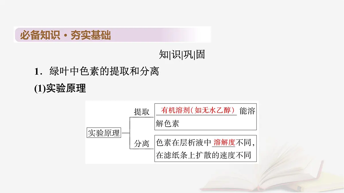 2026届高考生物一轮总复习必修1第3单元细胞的能量供应和利用第4讲捕获光能的色素和结构光合作用的原理课件第6页