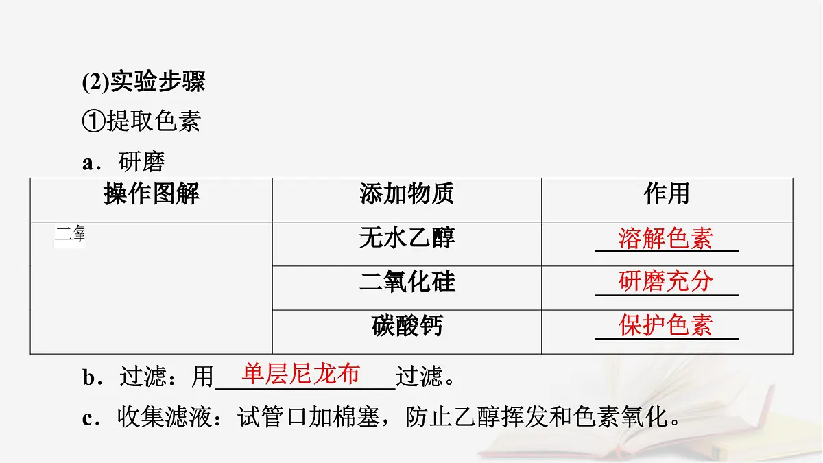 2026届高考生物一轮总复习必修1第3单元细胞的能量供应和利用第4讲捕获光能的色素和结构光合作用的原理课件第7页