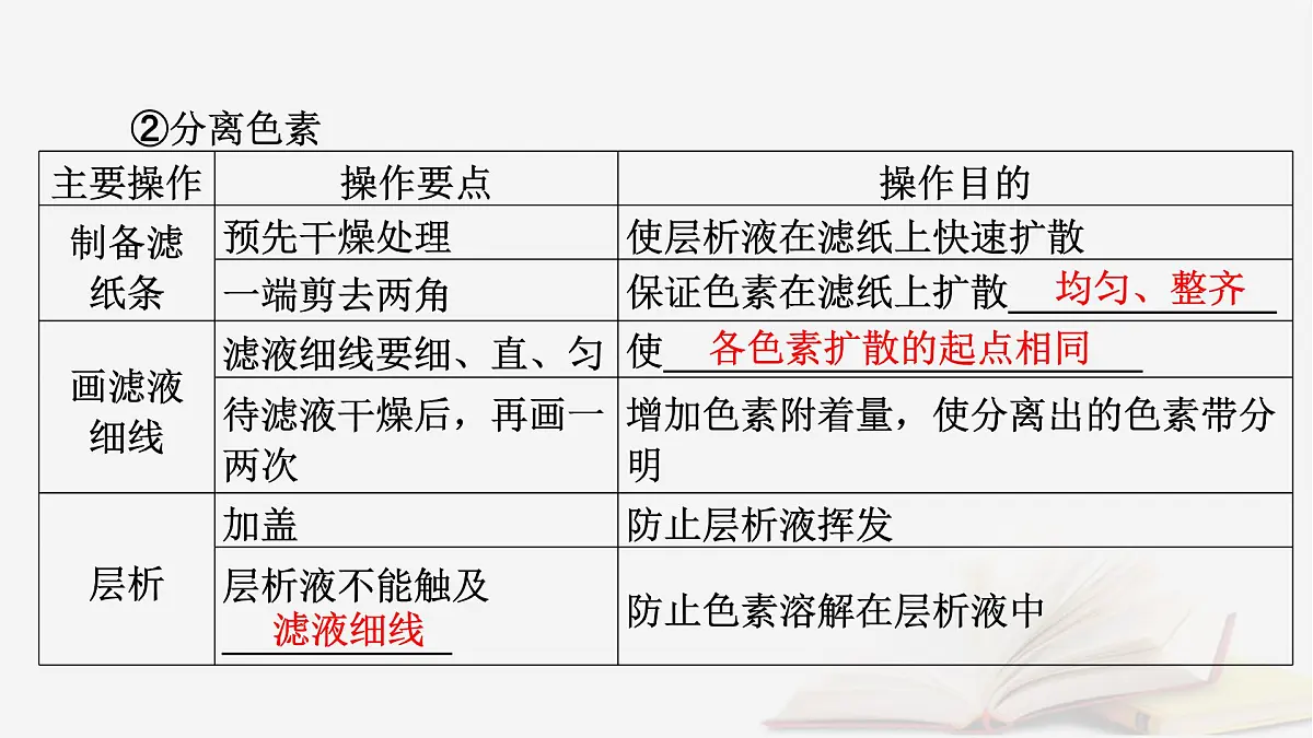 2026届高考生物一轮总复习必修1第3单元细胞的能量供应和利用第4讲捕获光能的色素和结构光合作用的原理课件第8页