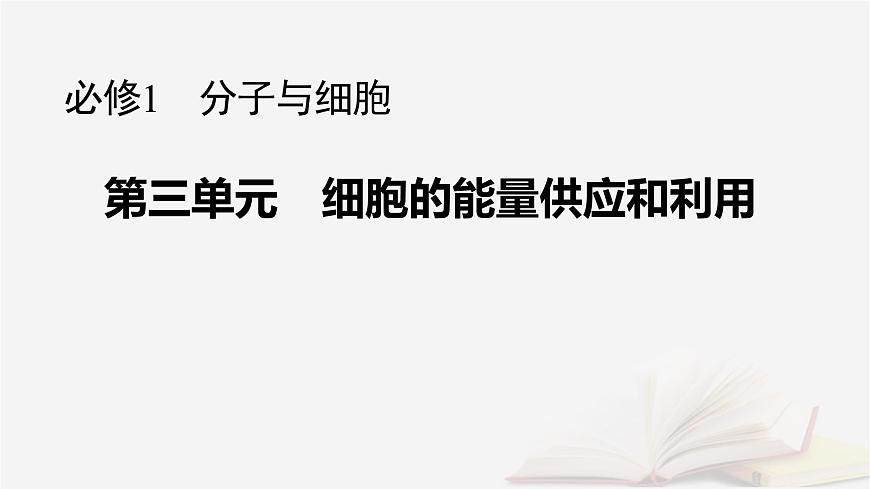 2026届高考生物一轮总复习必修1第3单元细胞的能量供应和利用第5讲影响光合作用的环境因素及其应用课件第1页