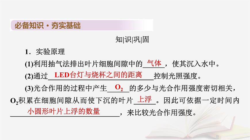 2026届高考生物一轮总复习必修1第3单元细胞的能量供应和利用第5讲影响光合作用的环境因素及其应用课件第6页