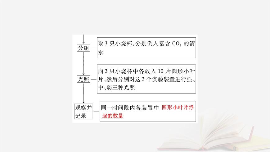 2026届高考生物一轮总复习必修1第3单元细胞的能量供应和利用第5讲影响光合作用的环境因素及其应用课件第8页