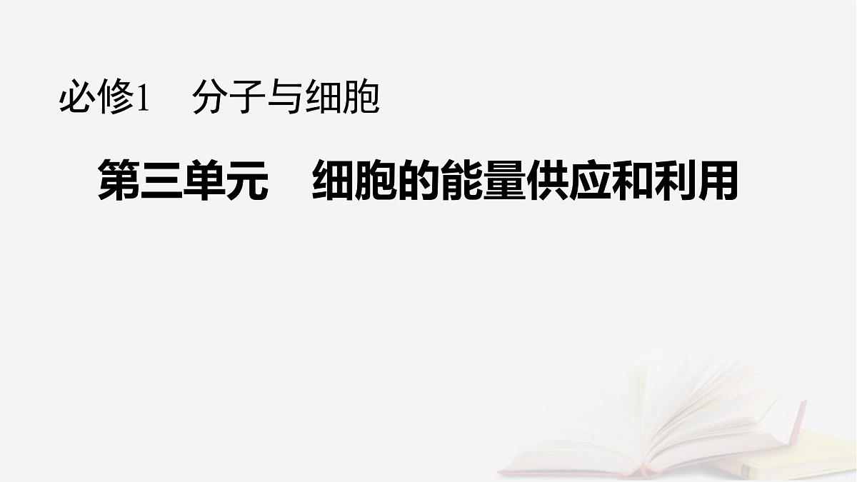 2026届高考生物一轮总复习必修1第3单元细胞的能量供应和利用第6讲光合作用和细胞呼吸的关系课件第1页