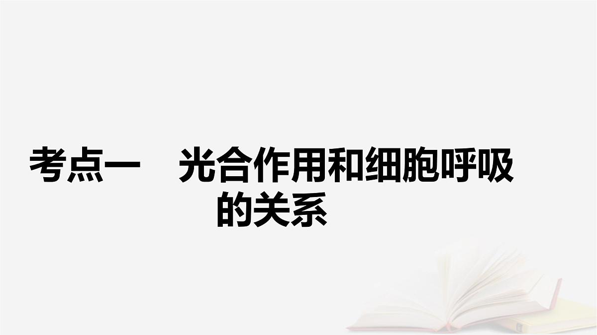 2026届高考生物一轮总复习必修1第3单元细胞的能量供应和利用第6讲光合作用和细胞呼吸的关系课件第5页