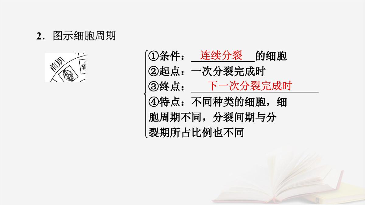 2026届高考生物一轮总复习必修1第4单元细胞的生命历程第1讲细胞的增殖课件第7页