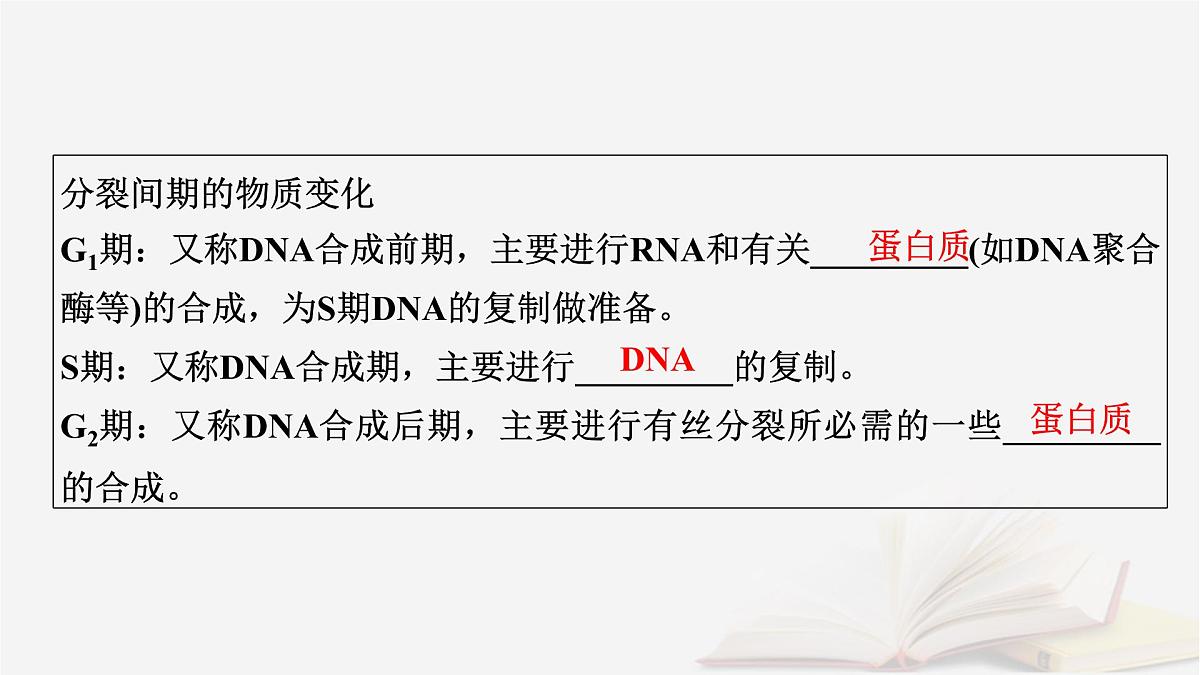 2026届高考生物一轮总复习必修1第4单元细胞的生命历程第1讲细胞的增殖课件第8页
