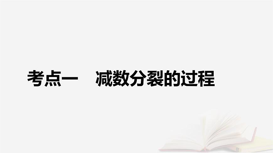 2026届高考生物一轮总复习必修1第4单元细胞的生命历程第2讲细胞的减数分裂和受精作用课件第5页