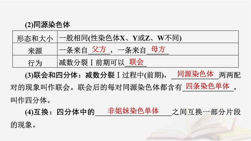 2026届高考生物一轮总复习必修1第4单元细胞的生命历程第2讲细胞的减数分裂和受精作用课件第7页